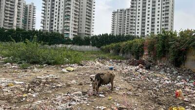 Surat Nagar 1 in Gurugram Sector 104 extension in Ward 11 on Friday. (Parveen Kumar/HT Photo) Surat Nagar 1 in Gurugram Sector 104 extension in Ward 11 on Friday. (Parveen Kumar/HT Photo)