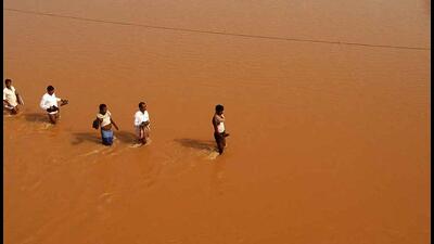 The number of districts that have transitioned from experiencing floods to droughts surpasses those from droughts to floods. (HT PHOTO/Representative) The number of districts that have transitioned from experiencing floods to droughts surpasses those from droughts to floods. (HT PHOTO/Representative)