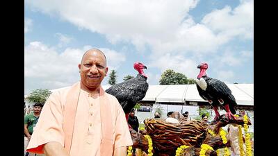 UP CM Yogi Adityanath at the the newly built Jatayu Conservation and Breeding Centre in Gorakhpur. (Agency)
