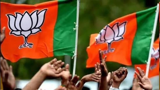 BJP released its J&K poll manifesto in Jammu (File)
