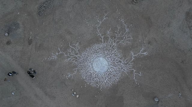 Generational Spores by Angelina Kumar (Courtesy sā Ladakh) Generational Spores by Angelina Kumar (Courtesy sā Ladakh)