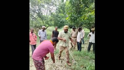A forest department team and locals trying to track the two elusive wolves (HT Photo)