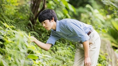 Prince Hisahito, the son of Crown Prince Akishino and Crown Princess Kiko, is pictured at the Akasaka Palace imperial garden in Tokyo, July 15, 2024. Hisahito turned 18 on Friday, Sept. 6. (Imperial Household Agency of Japan via AP) (AP) Prince Hisahito, the son of Crown Prince Akishino and Crown Princess Kiko, is pictured at the Akasaka Palace imperial garden in Tokyo, July 15, 2024. Hisahito turned 18 on Friday, Sept. 6. (Imperial Household Agency of Japan via AP) (AP)
