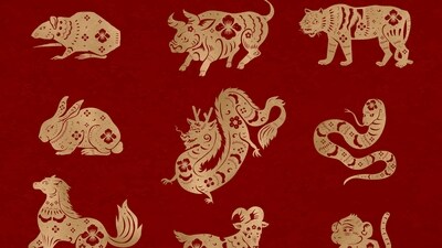 Lucky Chinese zodiac signs from September 9-15, 2024. (Freepik)