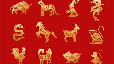 Read your weekly Chinese love horoscope based on your zodiac sign. (Freepik) Read your weekly Chinese love horoscope based on your zodiac sign. (Freepik)