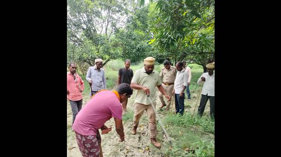 A forest department team and locals trying to track the two elusive wolves (HT Photo)