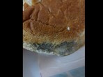 The customer shared the photo of the moldy burger on social media. The customer shared the photo of the moldy burger on social media.