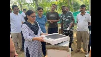 An expert giving a demonstration during a three-day ‘Scientific Beekeeping Training’ course at Indo Tibetan Border Police (ITBP) Cantonment at Baddowal in Ludhiana on Sunday. (HT Photo) An expert giving a demonstration during a three-day ‘Scientific Beekeeping Training’ course at Indo Tibetan Border Police (ITBP) Cantonment at Baddowal in Ludhiana on Sunday. (HT Photo)