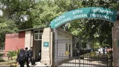 In a petition filed by Jaskirat Singh and Yogesh Maini regarding the installation of solid impermeable interlocking tiles above road levels in various localities, the National Green Tribunal (NGT) has pulled up the authorities for disregarding previous orders. (HT File) In a petition filed by Jaskirat Singh and Yogesh Maini regarding the installation of solid impermeable interlocking tiles above road levels in various localities, the National Green Tribunal (NGT) has pulled up the authorities for disregarding previous orders. (HT File)