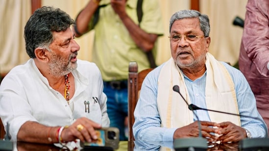 Karnataka Chief Minister Siddaramaiah, extended Ganesh Chaturthi greeting on "X' saying "Let’s not forget environmental concerns". (PTI)