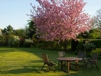 Top lawn chairs: Comfort, durability and style for outdoors.