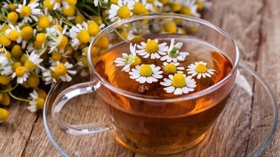 Chamomile: Known for its calming properties, chamomile tea is excellent for reducing stress and promoting sleep.&nbsp; (Shutterstock)