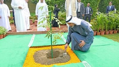 Abu Dhabi Crown Prince Sheikh Khaled bin Mohamed bin Zayed Al Nahyan planting a sapling in the premises of the Samadhi of Mahatma Gandhi at Rajghat in Delhi on Monday. (PIB) Abu Dhabi Crown Prince Sheikh Khaled bin Mohamed bin Zayed Al Nahyan planting a sapling in the premises of the Samadhi of Mahatma Gandhi at Rajghat in Delhi on Monday. (PIB)