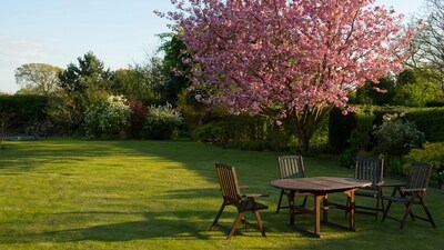 Top lawn chairs: Comfort, durability and style for outdoors. (Pexels) Top lawn chairs: Comfort, durability and style for outdoors. (Pexels)