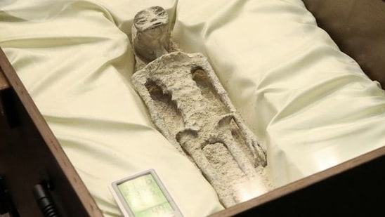 One of the two ‘non-human alien corpses’ displayed at Mexico Congress (X(formerly Twitter)/@iohmbra)