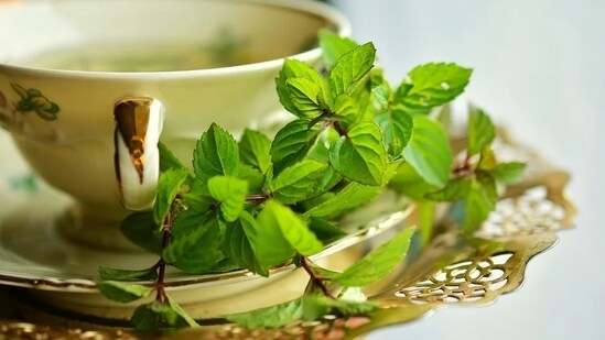 Peppermint: Knowns for its refreshing and cooling properties, peppermint tea helps soothe digestive issues and relieve nausea.&nbsp;(Pixabay)