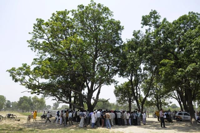People gather at the site where the bodies of the two victims were found at Katra Sadatganj village, in Uttar Pradesh’s Badaun district. (HT Archives) People gather at the site where the bodies of the two victims were found at Katra Sadatganj village, in Uttar Pradesh’s Badaun district. (HT Archives)