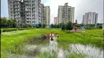 The inundated park in Sector 9A in Ward 14. (Parveen Kumar/HT Photo) The inundated park in Sector 9A in Ward 14. (Parveen Kumar/HT Photo)