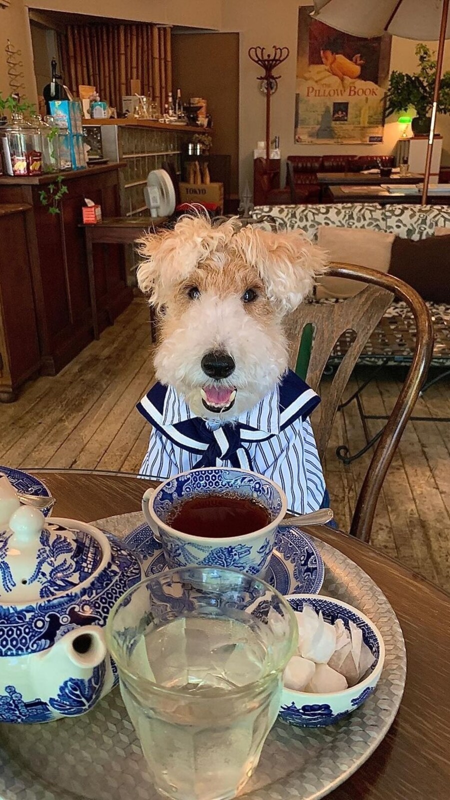 benben