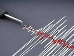 Earthquake today news updates: Netizens claimed that they felt tremors in Peshawar, Islamabad and Lahore in Pakistan, and New Delhi, Uttar Pradesh, Haryana, Punjab, Jammu and Kashmir in India. (File)