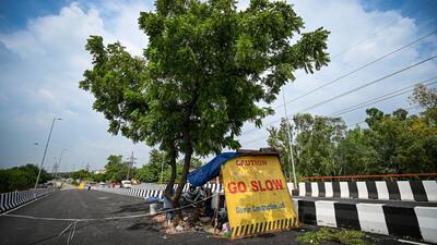 A tree seen in the middle of the carriageway on the new Anand Vihar flyover. (SANCHIT KHANNA/HT PHOTO)
