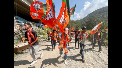 Opposition parties in Jammu and Kashmir, particularly the National Conference, Peoples Democratic Party and Congress, have made the abrogation of Article 370 a rallying point. (PTI) Opposition parties in Jammu and Kashmir, particularly the National Conference, Peoples Democratic Party and Congress, have made the abrogation of Article 370 a rallying point. (PTI)