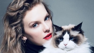 Taylor Swift endorses Kamala Harris, signs off as ‘childless cat lady’ Taylor Swift endorses Kamala Harris, signs off as ‘childless cat lady’