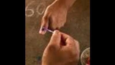 The Jannayak Janta Party and Azad Samaj Party declared 28 more candidates for the Haryana assembly elections on Wednesday. (HT File)