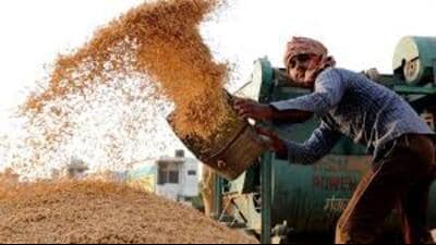 The paddy target is likely to be fixed at 70 LMT for this year. (Pic for representation) The paddy target is likely to be fixed at 70 LMT for this year. (Pic for representation)