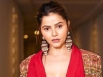 Rubina Dilaik gave birth to her twins last year. (File Photo)