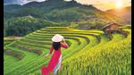 Mu Cang Chai has stunning views of the serene Vietnamese countryside. (ADOBE STOCK)