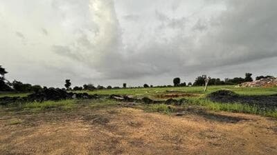 The CAG also found that there was an abrupt and abnormal decline in the grade of iron-ore soon after those were leased out. (Representative file photo) The CAG also found that there was an abrupt and abnormal decline in the grade of iron-ore soon after those were leased out. (Representative file photo)