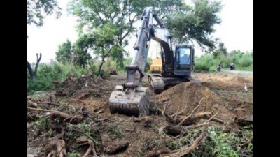 The company is accused of cutting down trees beyond the approved project area. (Sourced) The company is accused of cutting down trees beyond the approved project area. (Sourced)