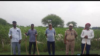 Villagers and forest teams while combing the area (HT File Photo) Villagers and forest teams while combing the area (HT File Photo)