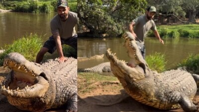 A viral video shows a man interacting closely with a massive Nile crocodile. (Instagram/@cavemanrob)