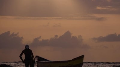 The market is meant to aid local fishermen. (HT File Photo) The market is meant to aid local fishermen. (HT File Photo)