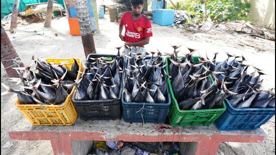 A fisher with his catch in Lakshadweep. (Alvin Anto)