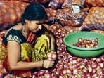 The world’s largest onion exporter had banned overseas sales in December last year to boost domestic supplies. (HT Photo)