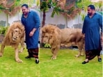A Pakistani man’s Instagram video of walking with a male lion has gone viral.