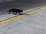 Friday the 13th sparks superstitions and social media buzz. Friday the 13th sparks superstitions and social media buzz.