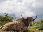 Explore Arunachal Pradesh for a holistic holiday that rejuvenates your mind and soul. Explore Arunachal Pradesh for a holistic holiday that rejuvenates your mind and soul.