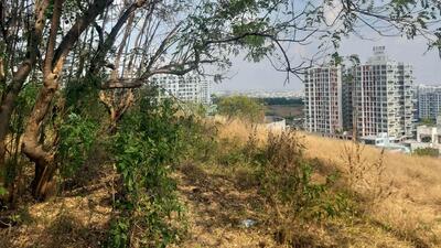 Forest department confirms no encroachment on forest land in Mohammadwadi. (HT) Forest department confirms no encroachment on forest land in Mohammadwadi. (HT)
