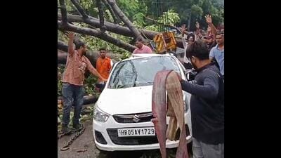 The deceased were identified as Bimla Devi and Sunehri Devi, both in their late 50s and of Nilokheri sub-division. (HT Photo)