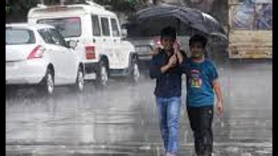 The depression over central Uttar Pradesh moved north-northwestwards on Friday and weakened into a well-marked low-pressure area over the same region. (For Representation)