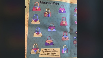 A tricky brain teaser on Reddit challenges users to find two identical handbags among multiple images. (Reddit/@ShampooandCondition)