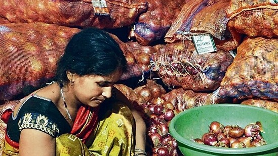 The world’s largest onion exporter had banned overseas sales in December last year to boost domestic supplies. (HT Photo)