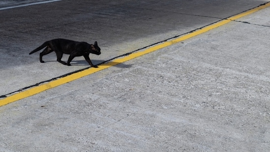 Friday the 13th sparks superstitions and social media buzz. (Unsplash)