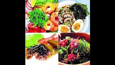 A poke bowl with chuka wakame, a seaweed snack popular in Japan, a ramen bowl with nori sheets, a seaweed salad, and different typess of seaweed. (Images: Adobe Stock) A poke bowl with chuka wakame, a seaweed snack popular in Japan, a ramen bowl with nori sheets, a seaweed salad, and different typess of seaweed. (Images: Adobe Stock)