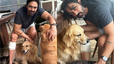 The actor married Mehr Jesia in 1998 and has two daughters, Mahikaa and Myra, with her. In 2018, they announced their separation and were granted divorce in November 2019. Arjun has inked Mahikaa and Myra's names on his arms. Arjun is in a relationship with his girlfriend, Gabriella Demetriades. They have two sons. The actor married Mehr Jesia in 1998 and has two daughters, Mahikaa and Myra, with her. In 2018, they announced their separation and were granted divorce in November 2019. Arjun has inked Mahikaa and Myra's names on his arms. Arjun is in a relationship with his girlfriend, Gabriella Demetriades. They have two sons.