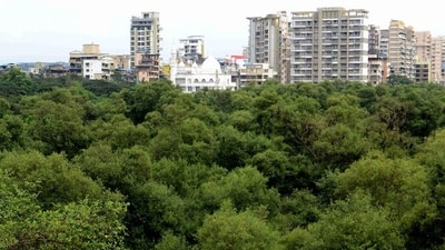 Approvals are now awaited from the ministry of environment, forests and climate change, the Bombay high court, and the forest department, including for mangrove patches. (Photo by Bachchan Kumar/ HT PHOTO) (HT PHOTO)